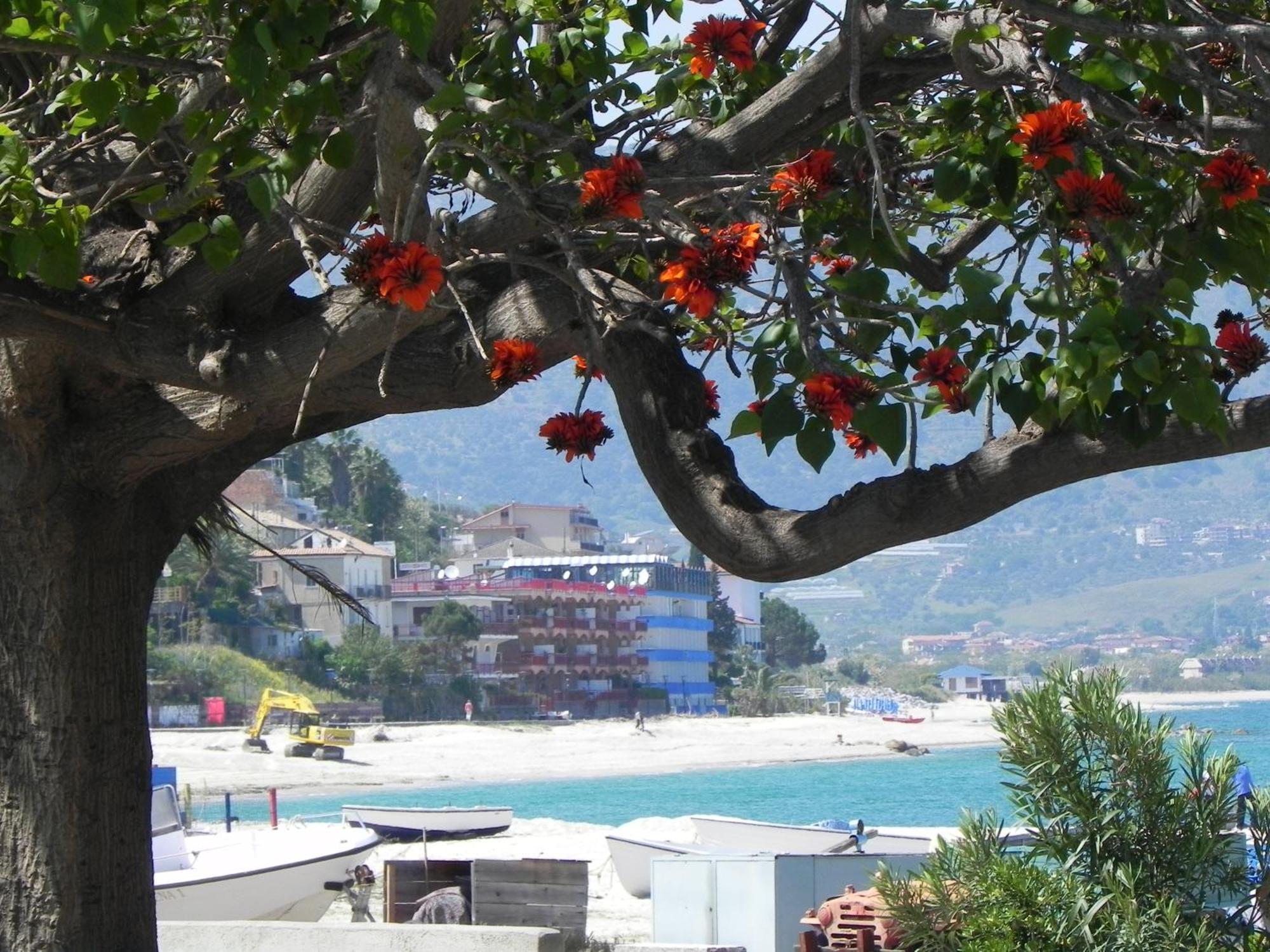 San Domenico Hotel Soverato Marina Exteriér fotografie